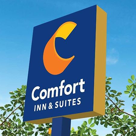 Comfort Inn & Suites Newark Liberty International Airport Zewnętrze zdjęcie